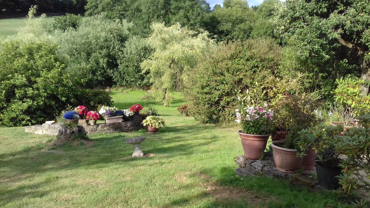 Hills Farm B&B Laugharne Exterior photo