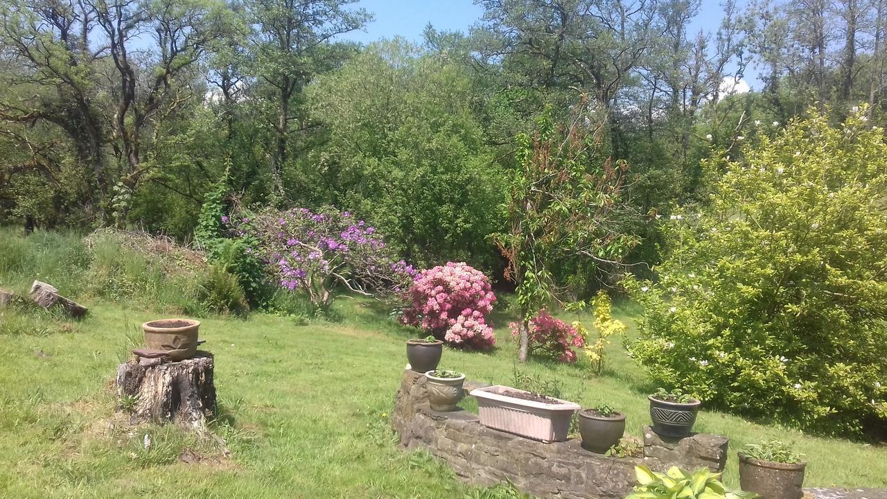 Hills Farm B&B Laugharne Exterior photo