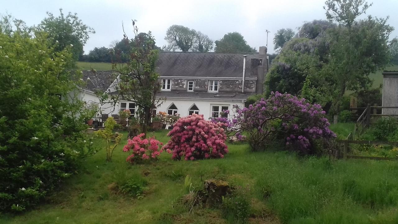 Hills Farm B&B Laugharne Exterior photo